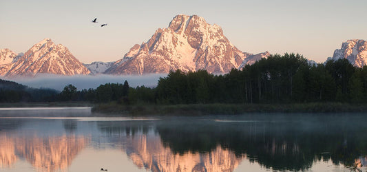 View of Lake with Forest and Snow Covered Mountains in the Background