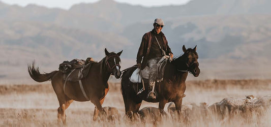 A rider in outdoor attire leading a pack horse across an open field with mountains in the background.