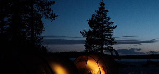 Polar camping adventure at dusk, featuring illuminated tents in a serene forest setting. Experience the beauty of the polar regions with a memorable camping trip under the stars.