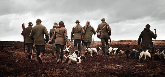 The Glorious Twelfth Group With Hunting Dogs Out Hunting on the Moors