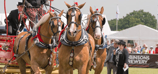 Royal Cheshire Show