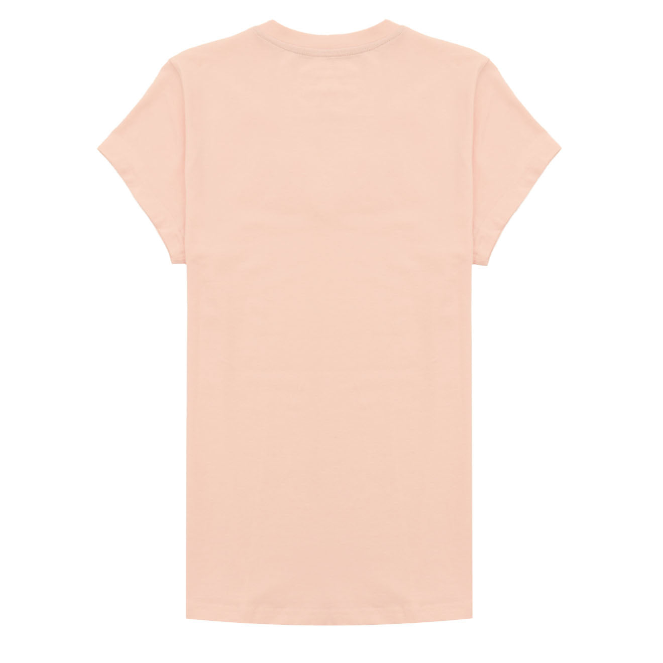 Ariat Womens Vertical Logo V T-Shirt Blushing Rose - The Sporting Lodge