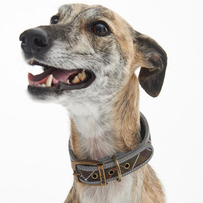 Barbour Comfort Lurcher Dog Collar Classic Tartan - The Sporting Lodge