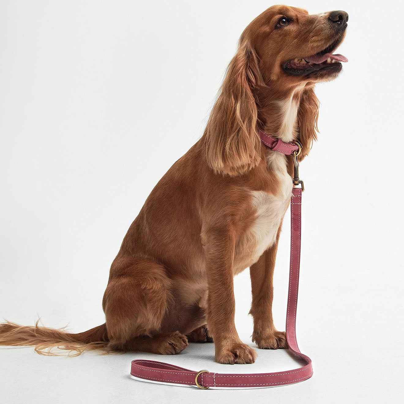 Barbour collar fashion pink