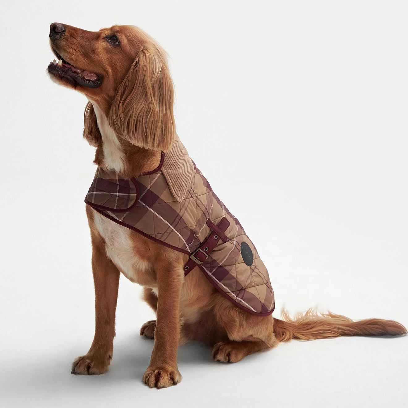 Barbour Tartan Dog Coat Muted Cabernet - The Sporting Lodge