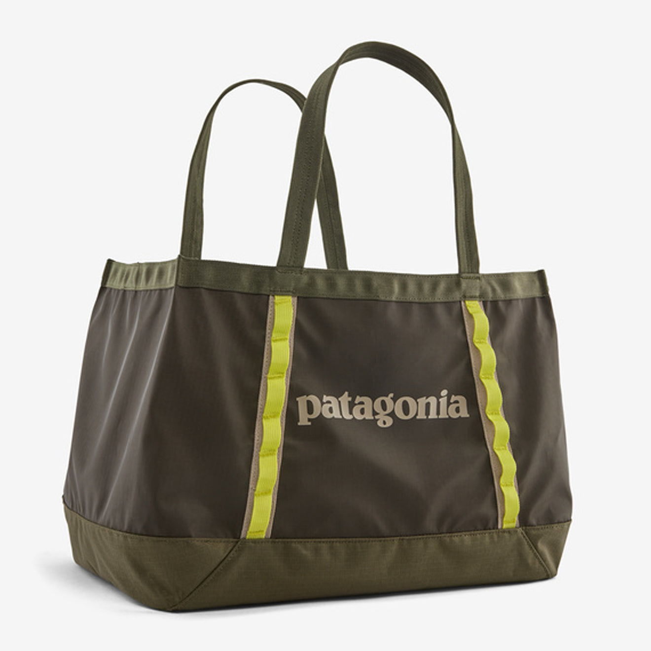 Patagonia Black Hole Tote 25L Pine Needle Green