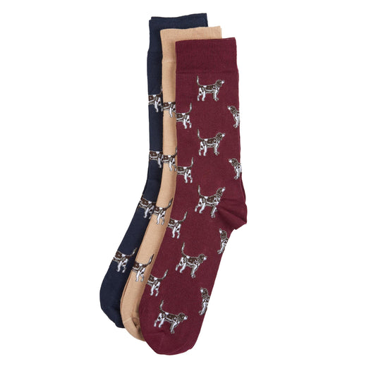 Barbour Pointer Dog Sock Gift Box Cordovan - The Sporting Lodge