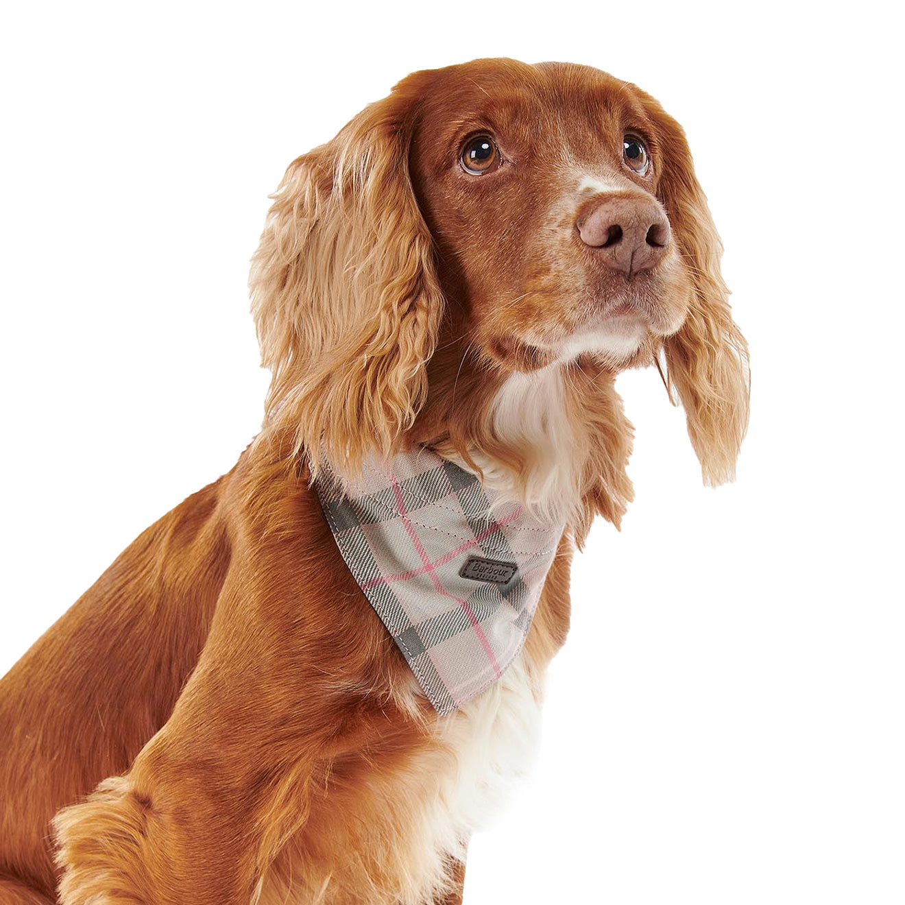 Barbour Tartan Bandana Taupe / Pink Tartan - The Sporting Lodge